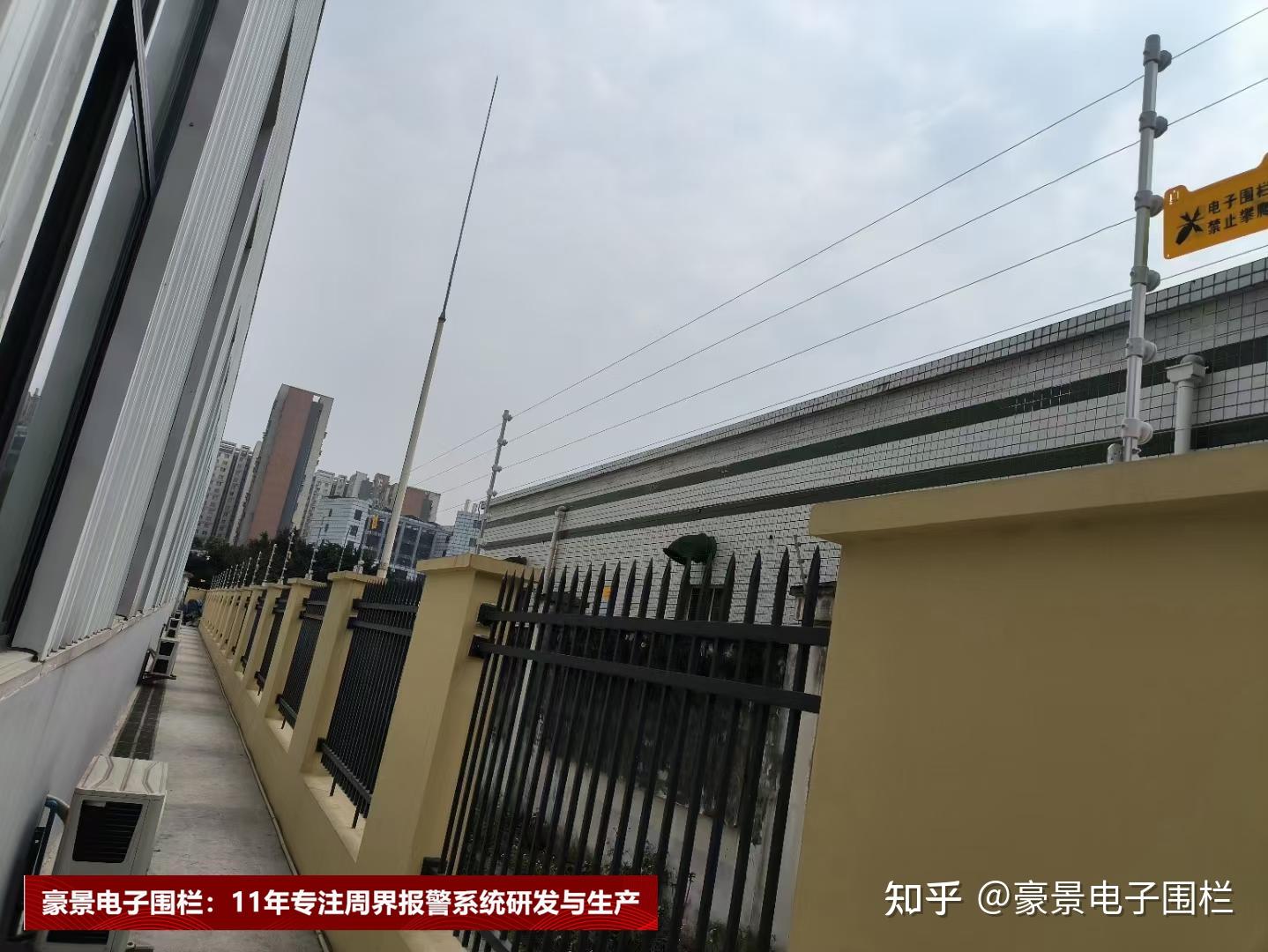 深度对话：黄伟如何在和平精英中塑造自己的游戏人生与梦想追求
